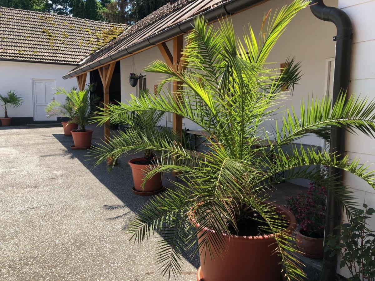 Ferienwohnung „Gmünder Hof“ Gmund  Exterior foto